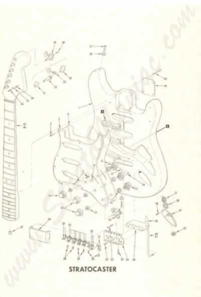 Fender Explosionszeichnung der Stratocaster