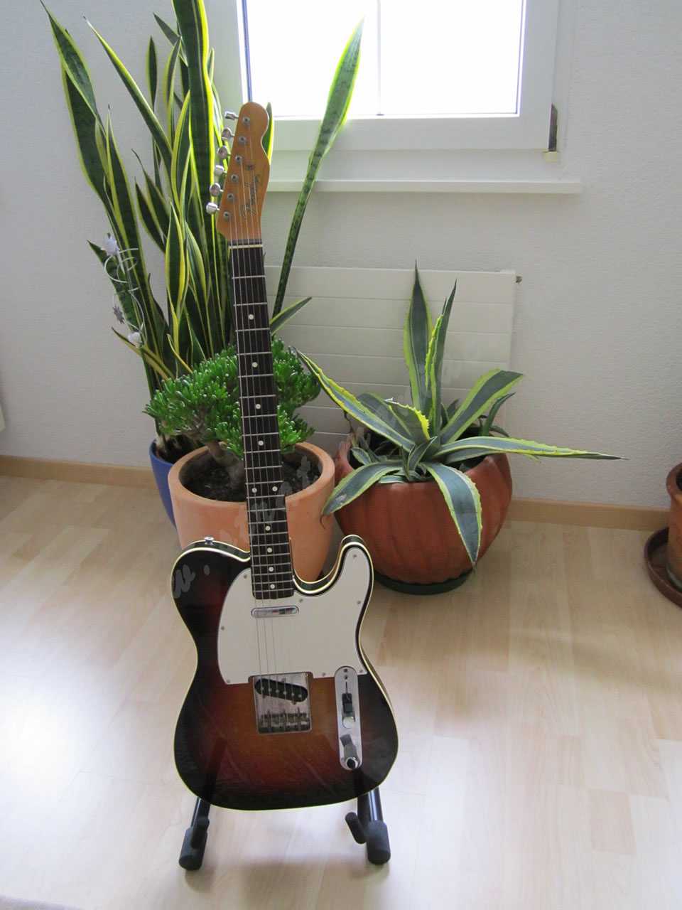 TL62-65 Fender JV Serie Telecaster 1983